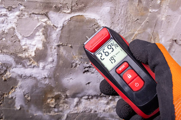 Reliable Rockport, TX Mold Removal Solutions