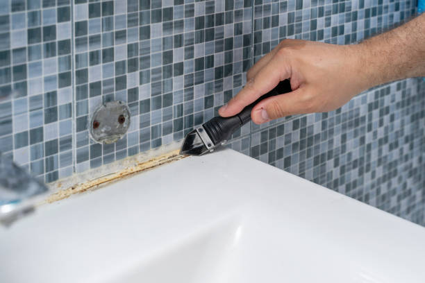 Best Best Mold Removal Companies  in Rockport, TX