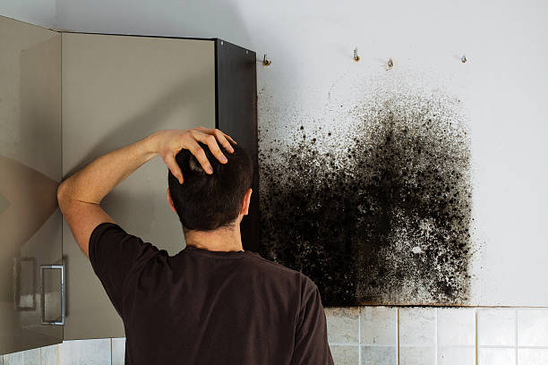 Best Local Mold Removal Service  in Rockport, TX