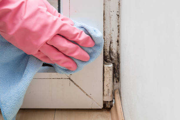Best Mold Cleaning Services  in Rockport, TX